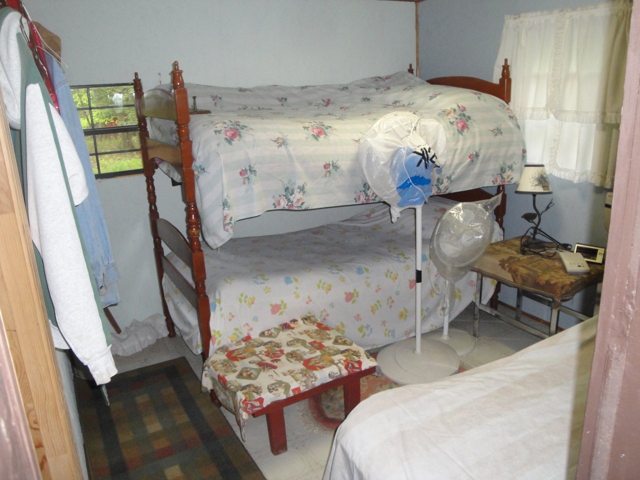 John'srun Road Bartow, WV 24920 - Photo 10 of 12 Gallery Image 10