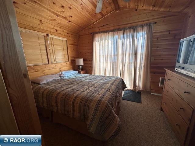 3636 Fectos Road Tower, MN 55790 - Photo 4 of 6