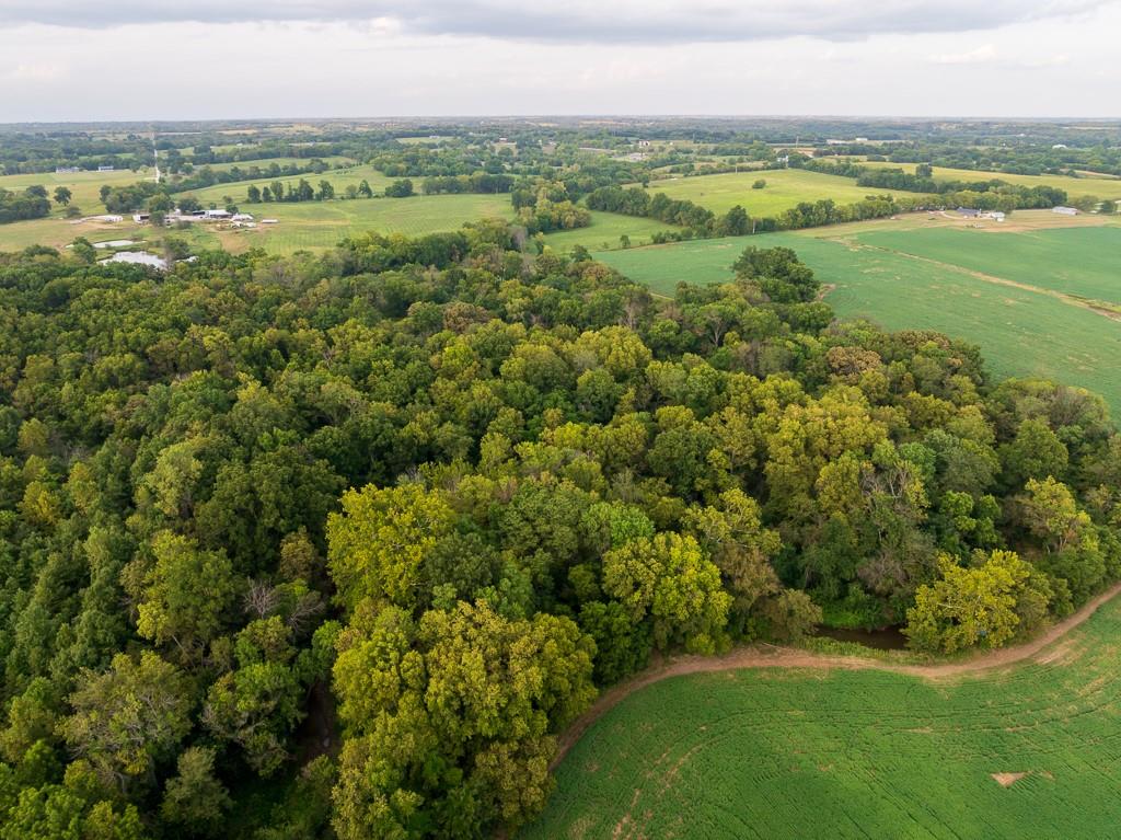 South Bonar Road Creighton, MO 64739 - Photo 12 of 69