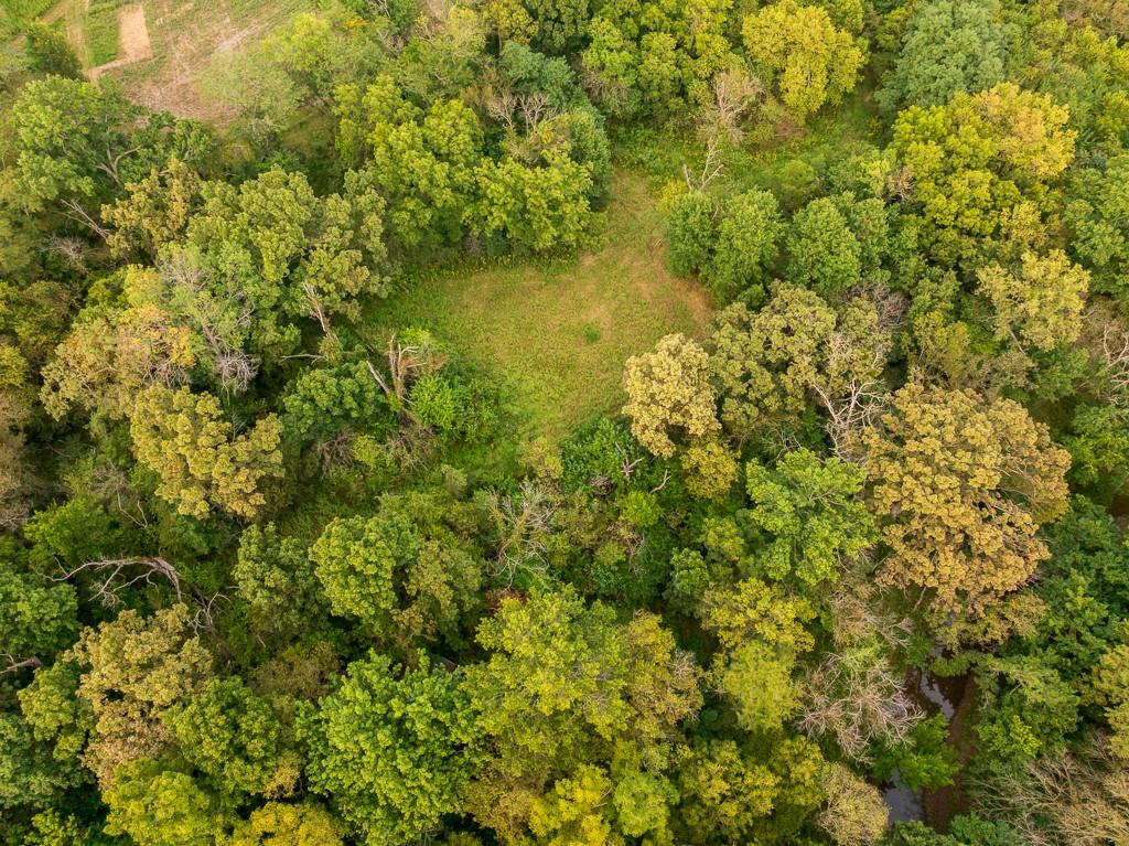 South Bonar Road Creighton, MO 64739 - Photo 15 of 69