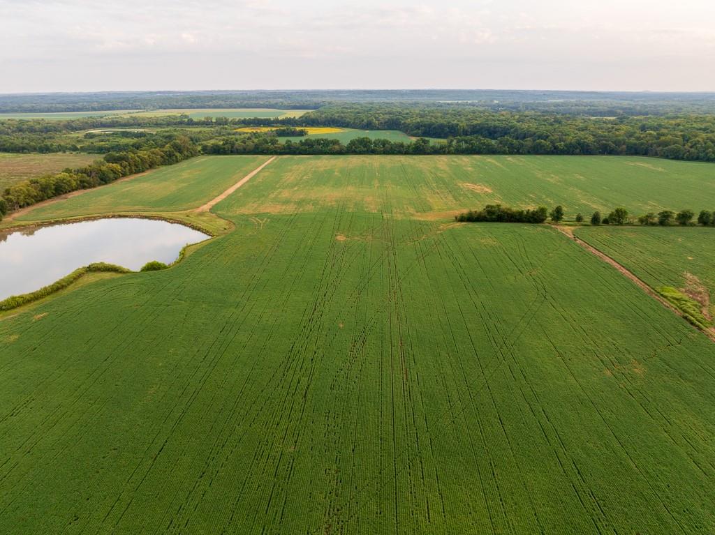 South Bonar Road Creighton, MO 64739 - Photo 19 of 69