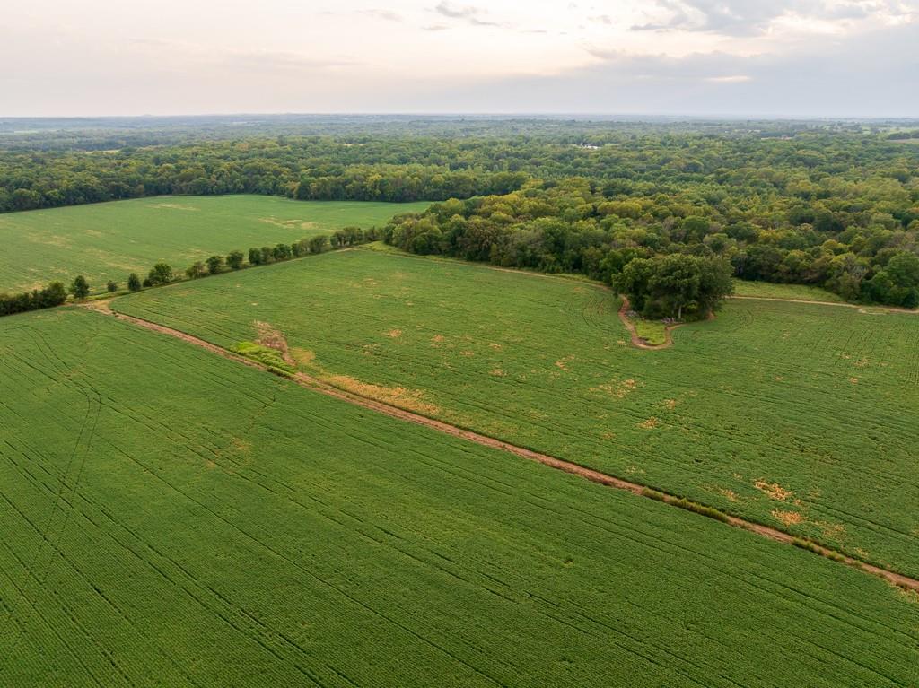 South Bonar Road Creighton, MO 64739 - Photo 20 of 69