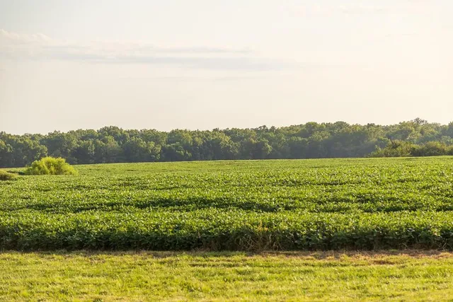 $1,012,895 | South Bonar Road, Creighton, MO 64739