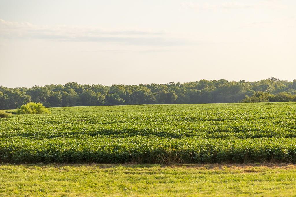 South Bonar Road Creighton, MO 64739 - Photo 34 of 69
