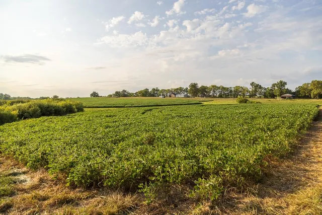 $1,012,895 | South Bonar Road, Creighton, MO 64739