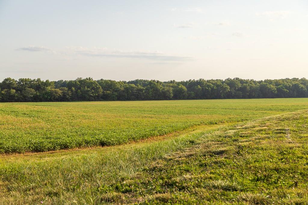 South Bonar Road Creighton, MO 64739 - Photo 40 of 69