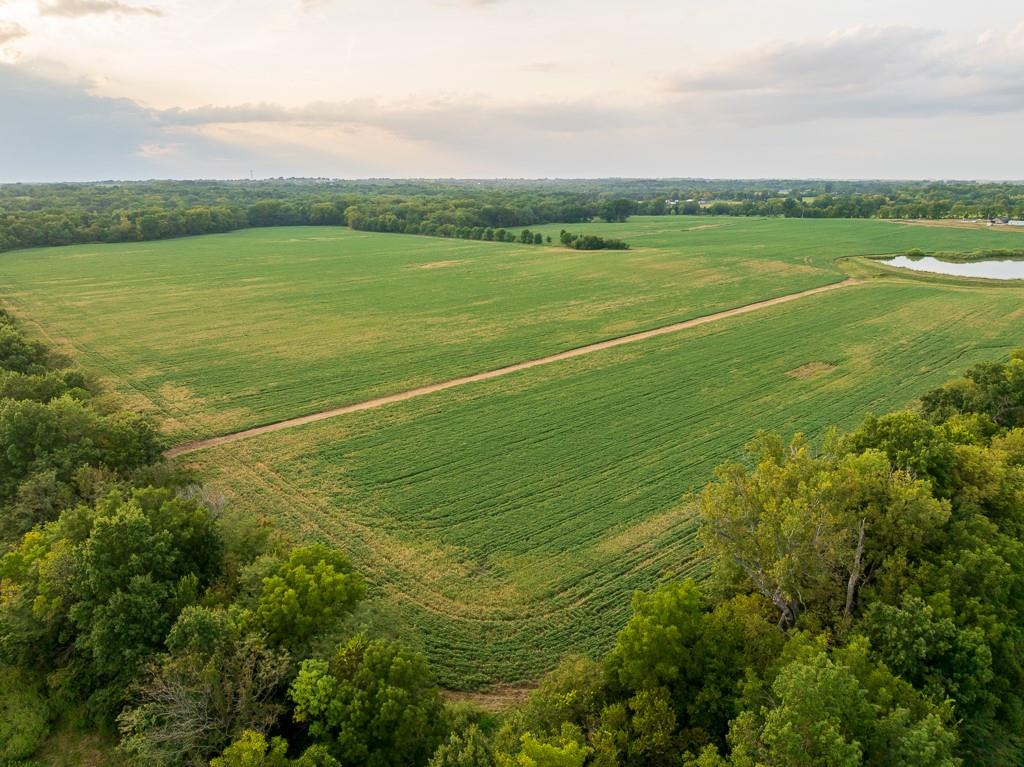 South Bonar Road Creighton, MO 64739 - Photo 4 of 69