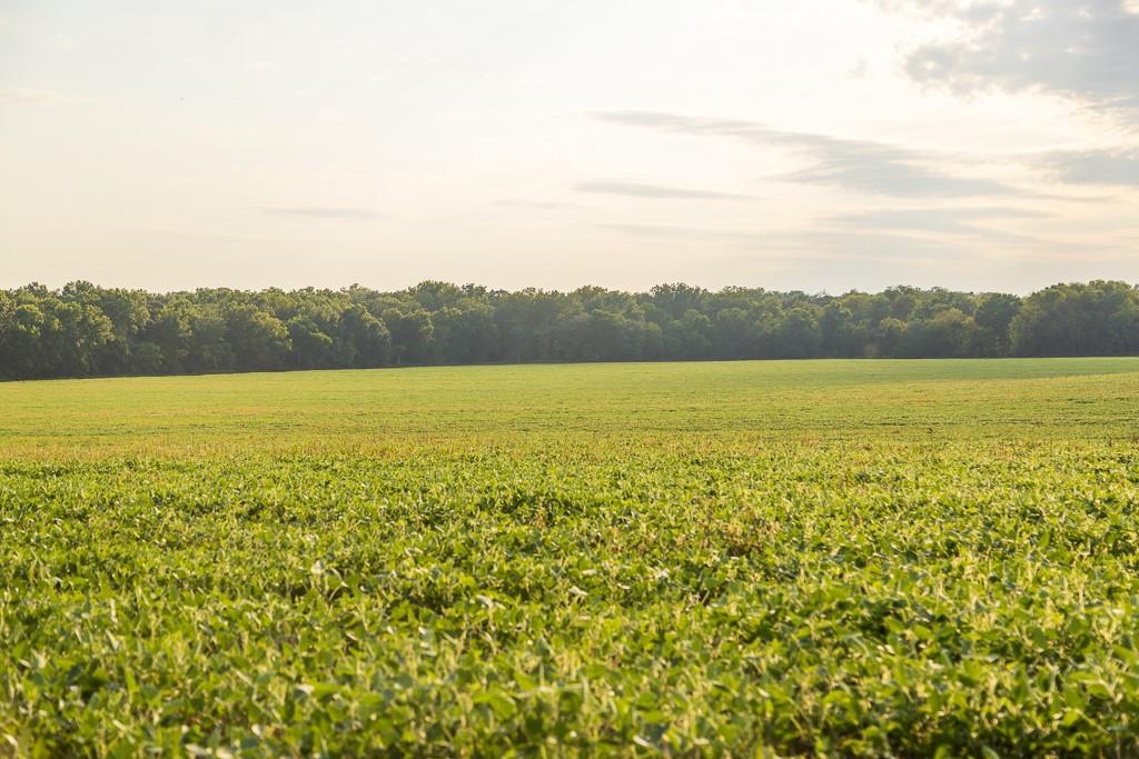 South Bonar Road Creighton, MO 64739 - Photo 41 of 69