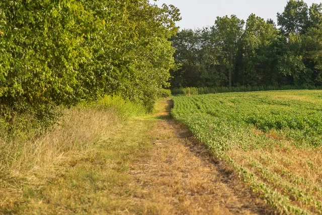 $1,012,895 | South Bonar Road, Creighton, MO 64739