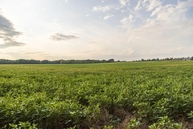 $1,012,895 | South Bonar Road, Creighton, MO 64739