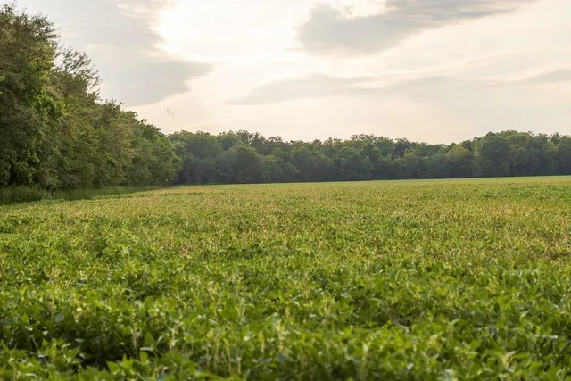 $1,012,895 | South Bonar Road, Creighton, MO 64739