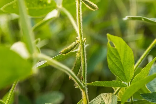 $1,012,895 | South Bonar Road, Creighton, MO 64739