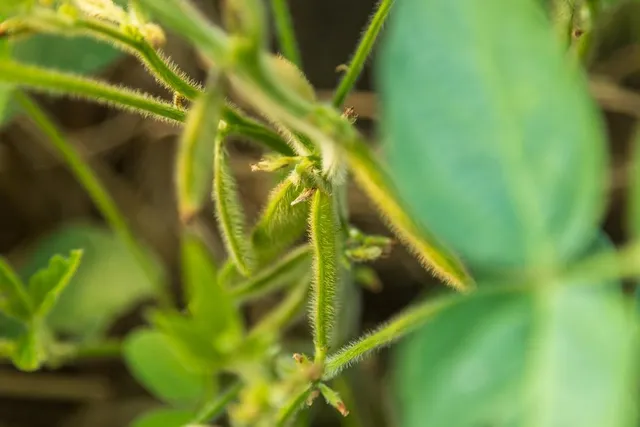 $1,012,895 | South Bonar Road, Creighton, MO 64739