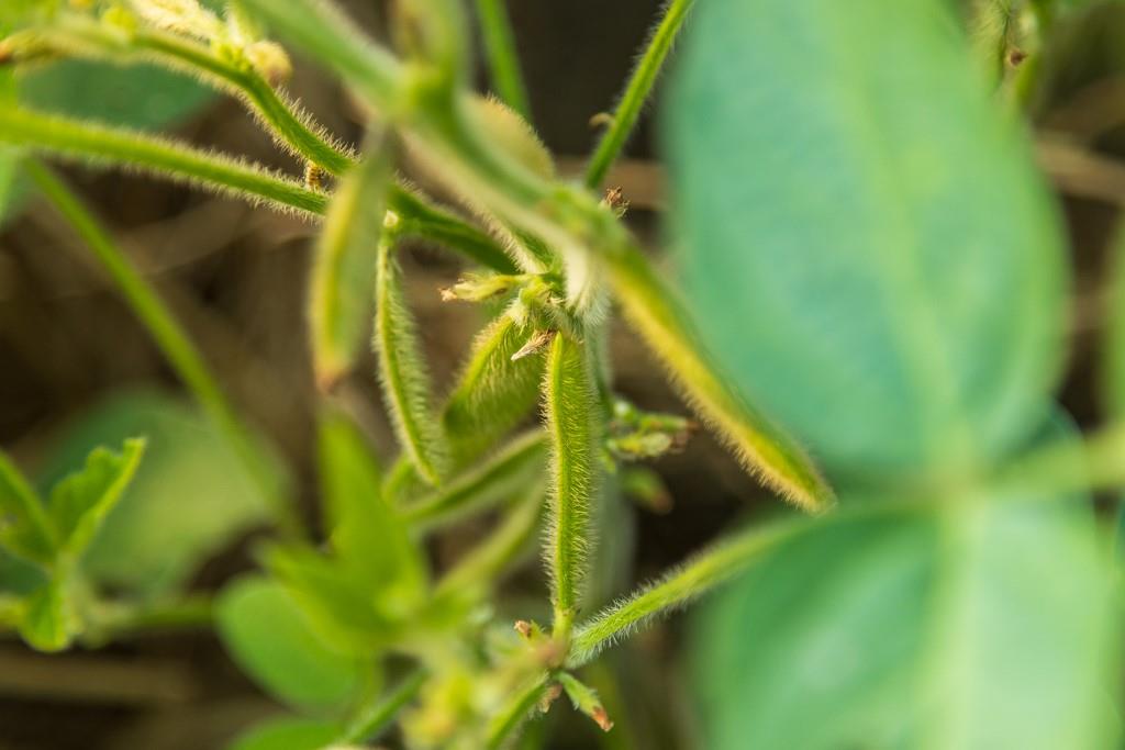 South Bonar Road Creighton, MO 64739 - Photo 46 of 69