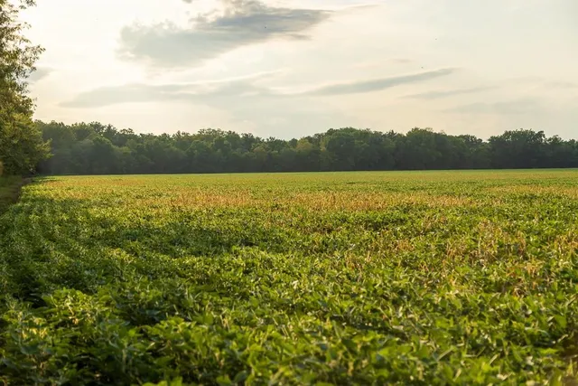 $1,012,895 | South Bonar Road, Creighton, MO 64739