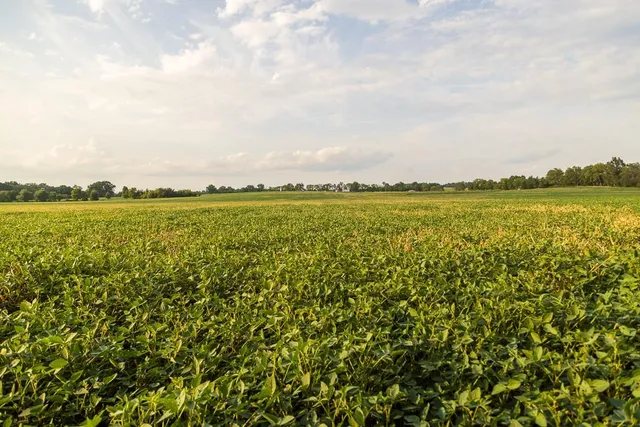 $1,012,895 | South Bonar Road, Creighton, MO 64739