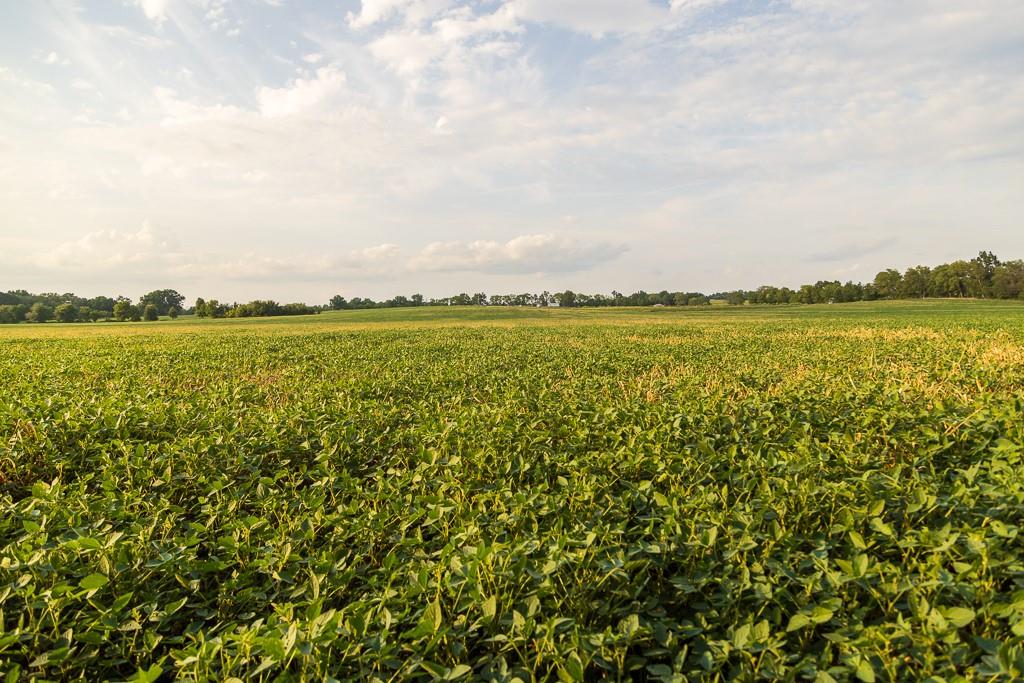 South Bonar Road Creighton, MO 64739 - Photo 48 of 69