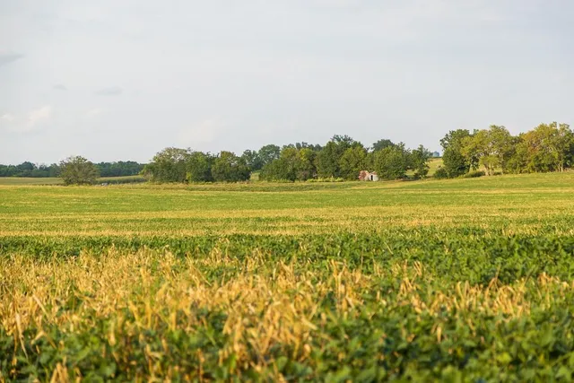 $1,012,895 | South Bonar Road, Creighton, MO 64739