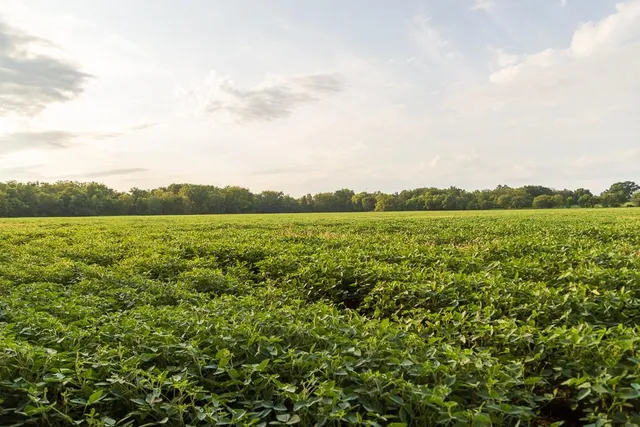 $1,012,895 | South Bonar Road, Creighton, MO 64739