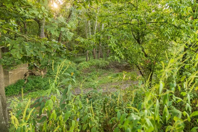 $1,012,895 | South Bonar Road, Creighton, MO 64739