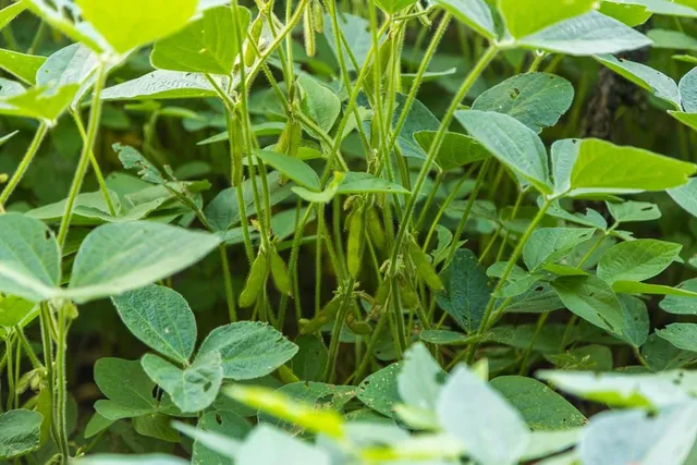 $1,012,895 | South Bonar Road, Creighton, MO 64739