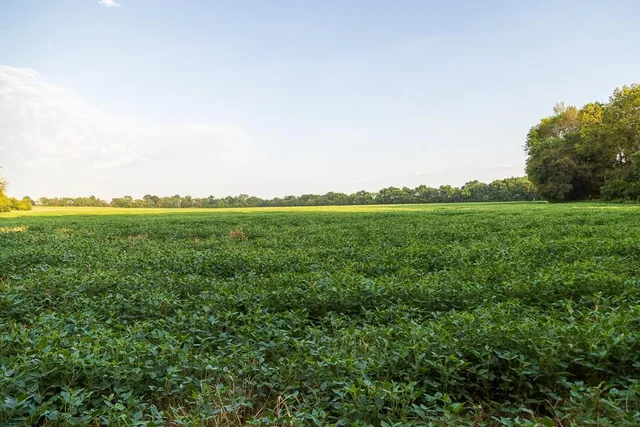 $1,012,895 | South Bonar Road, Creighton, MO 64739