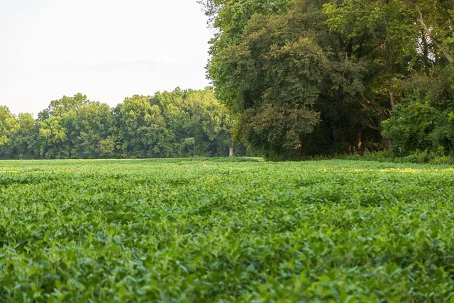 $1,012,895 | South Bonar Road, Creighton, MO 64739