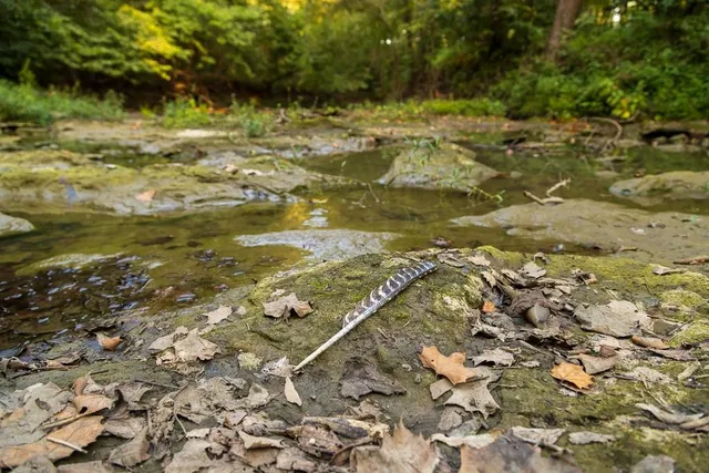 $1,012,895 | South Bonar Road, Creighton, MO 64739