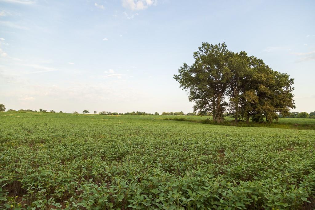 South Bonar Road Creighton, MO 64739 - Photo 62 of 69