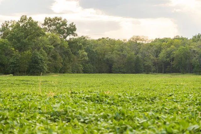 $1,012,895 | South Bonar Road, Creighton, MO 64739