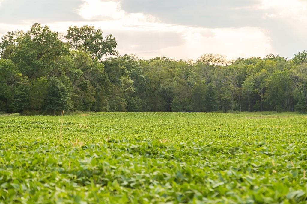 South Bonar Road Creighton, MO 64739 - Photo 65 of 69