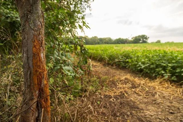 $1,012,895 | South Bonar Road, Creighton, MO 64739