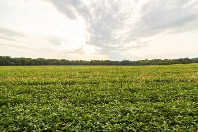 $1,012,895 | South Bonar Road, Creighton, MO 64739