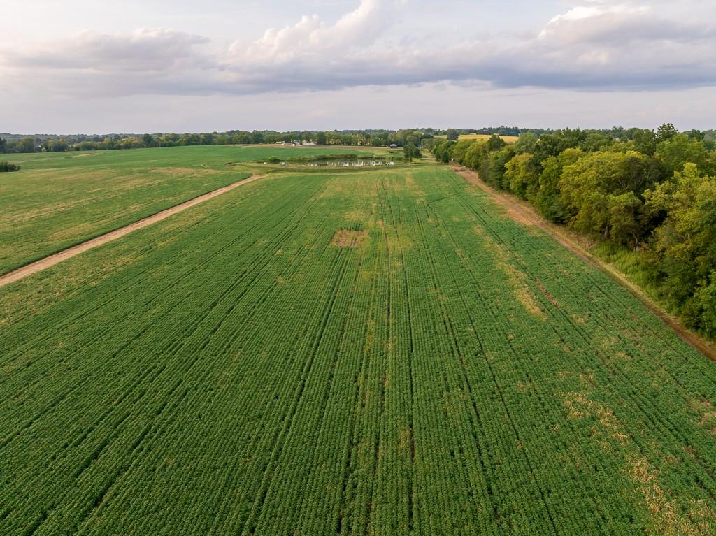 South Bonar Road Creighton, MO 64739 - Photo 7 of 69