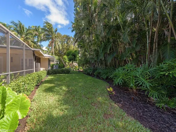 a backyard of a house with plants and large trees