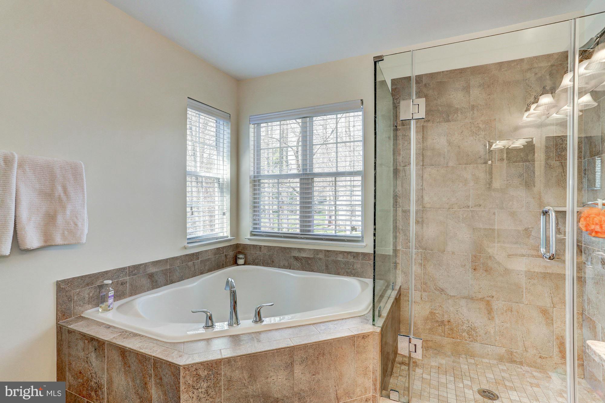 1216 Wild Hawthorn Way Reston, VA 20194 - Photo 18 of 27 Bath (Master)
