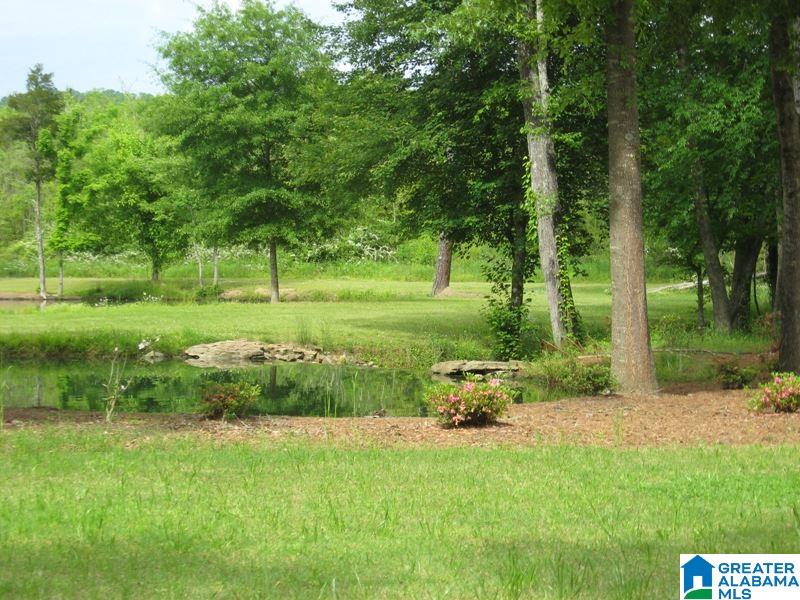 178 Olde Springs Road, Unit 24 Anniston, AL 36207 - Photo 9 of 37