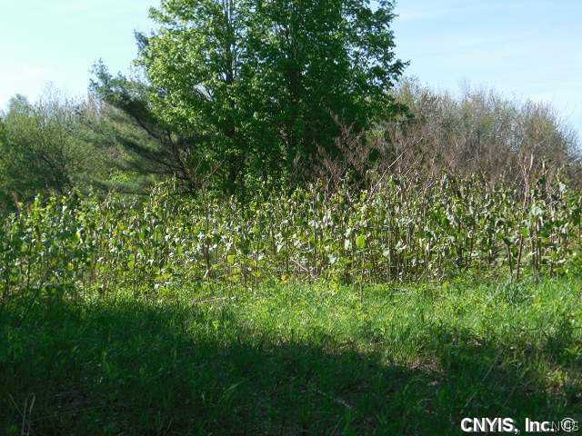 13 Co Rt 48, Unit 48 Altmar, NY 13302 - Photo 3 of 24