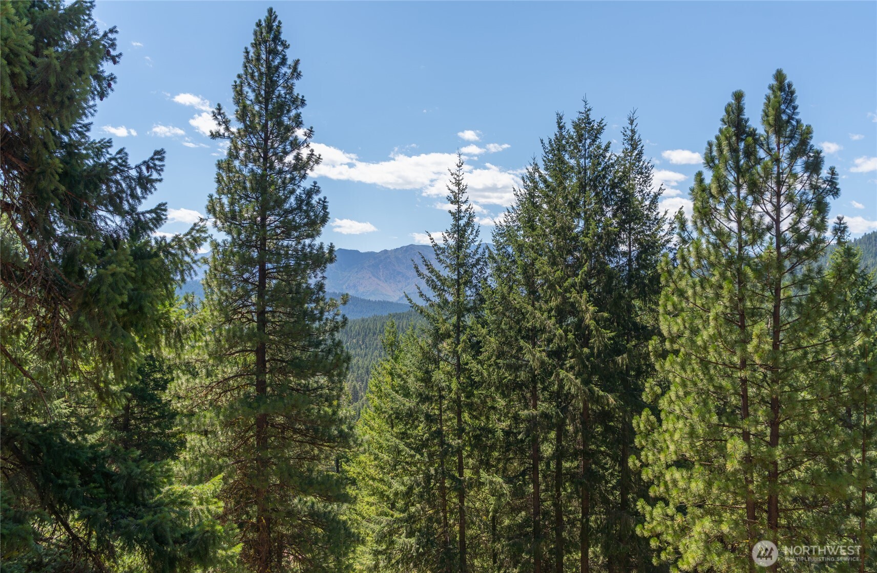 25601 Primitive Park Road Leavenworth, WA 98826 - Photo 11 of 16