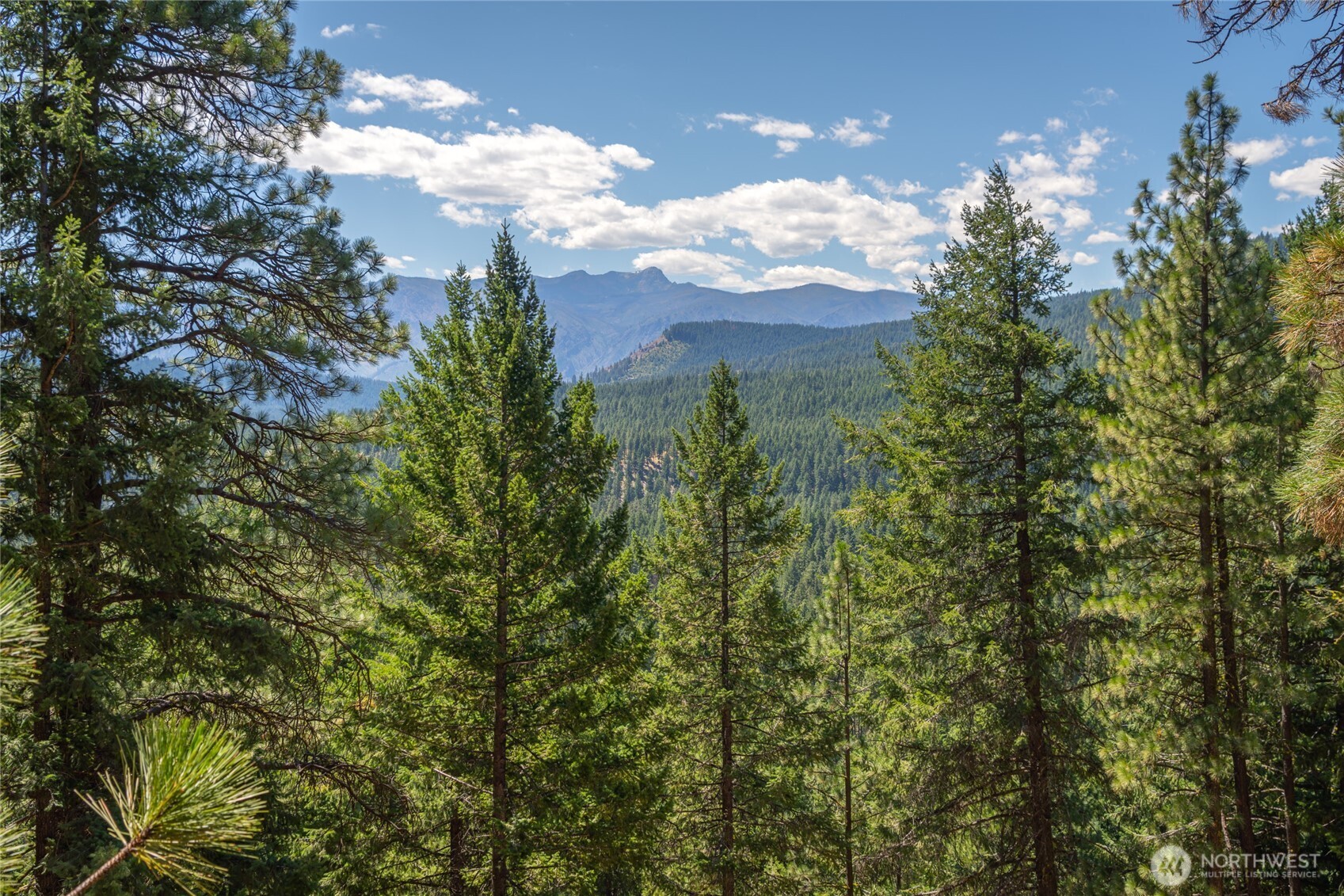 25601 Primitive Park Road Leavenworth, WA 98826 - Photo 12 of 16