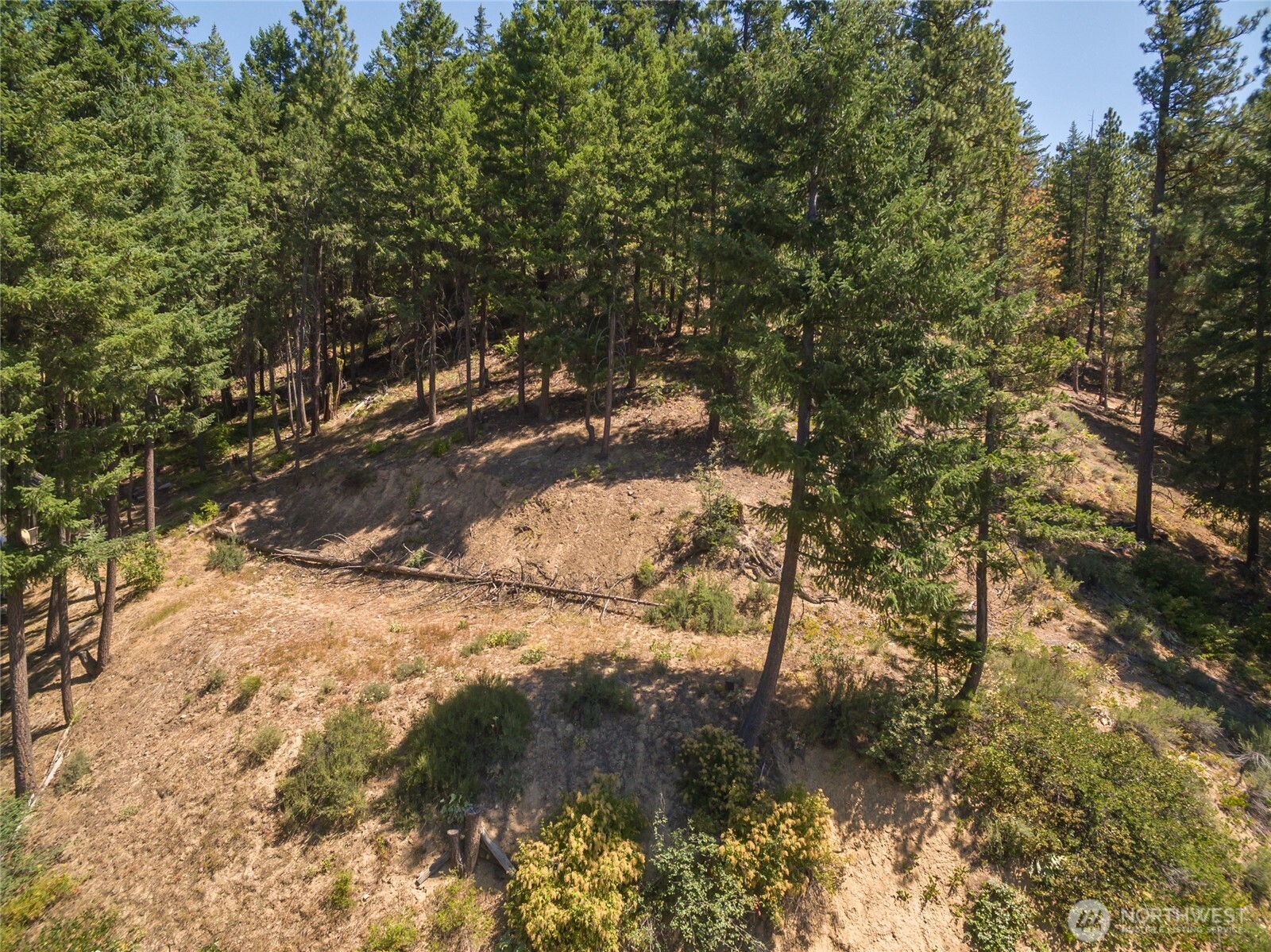 25601 Primitive Park Road Leavenworth, WA 98826 - Photo 4 of 16