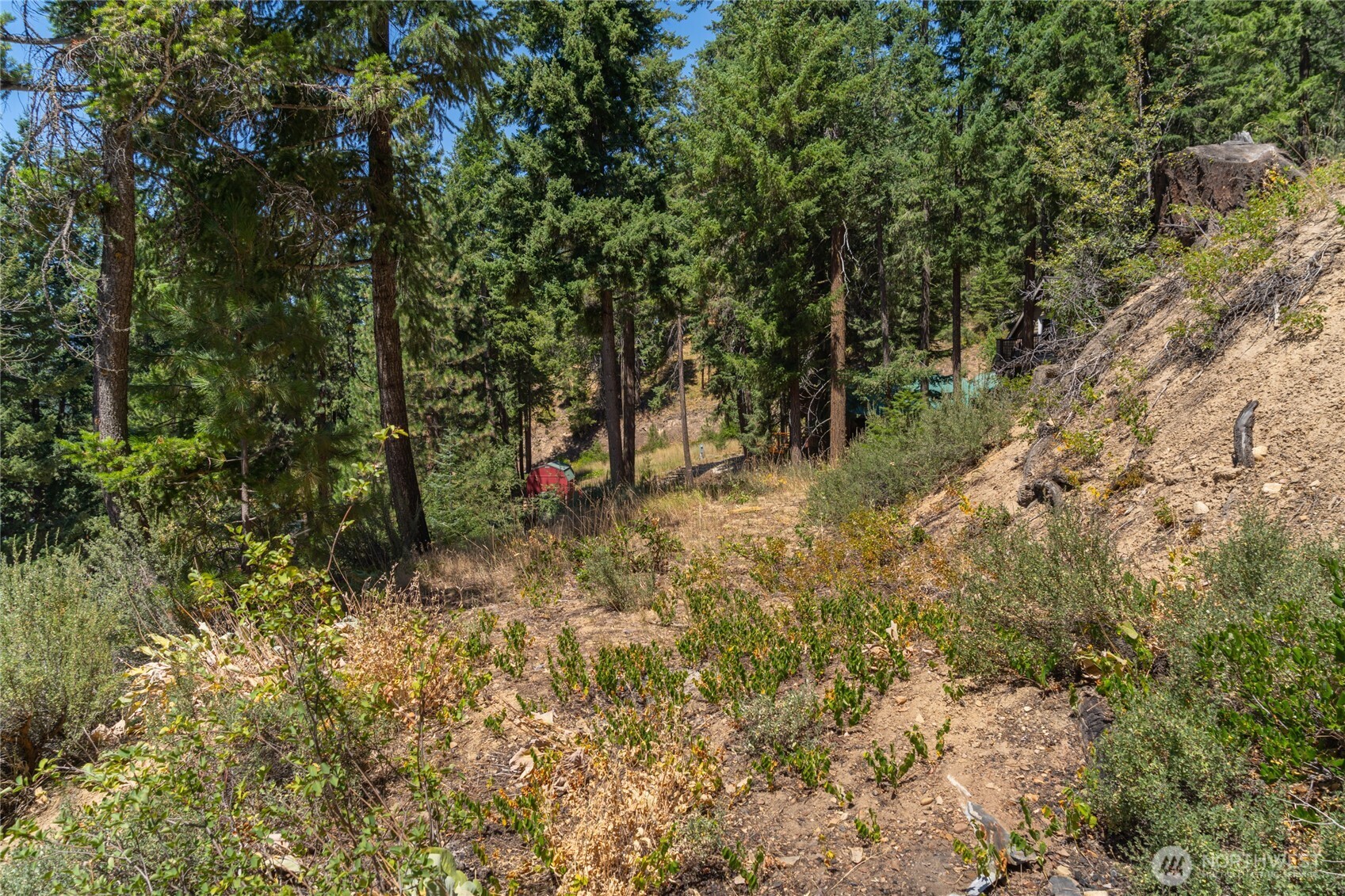 25601 Primitive Park Road Leavenworth, WA 98826 - Photo 7 of 16