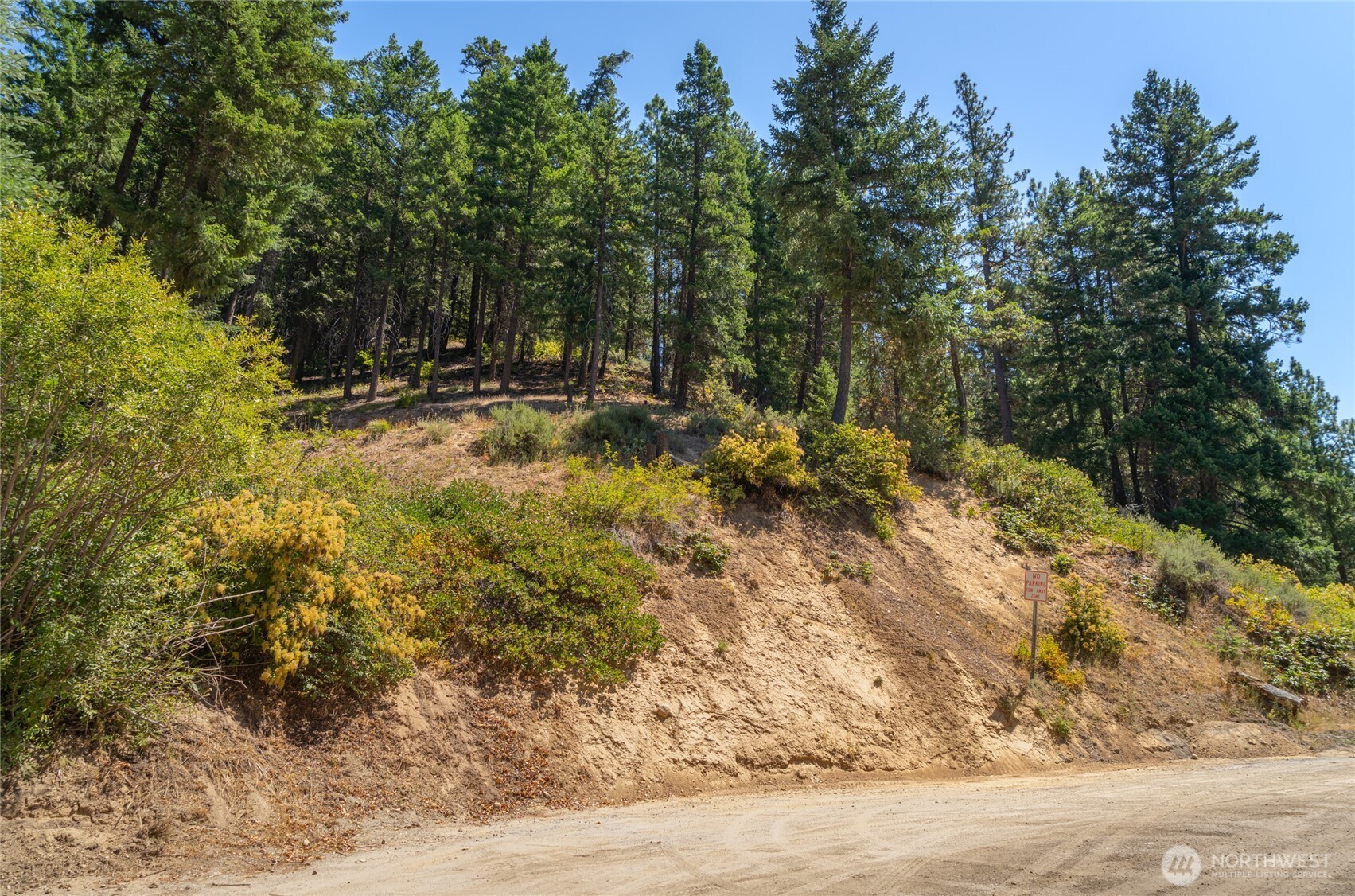 25601 Primitive Park Road Leavenworth, WA 98826 - Photo 9 of 16