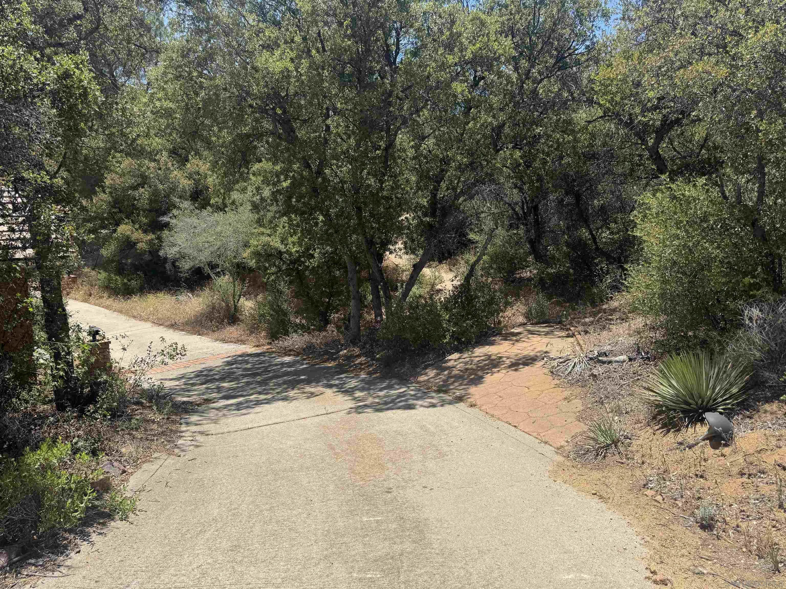 24142 Viejas Grade Road Descanso, CA 91916 - Photo 31 of 32