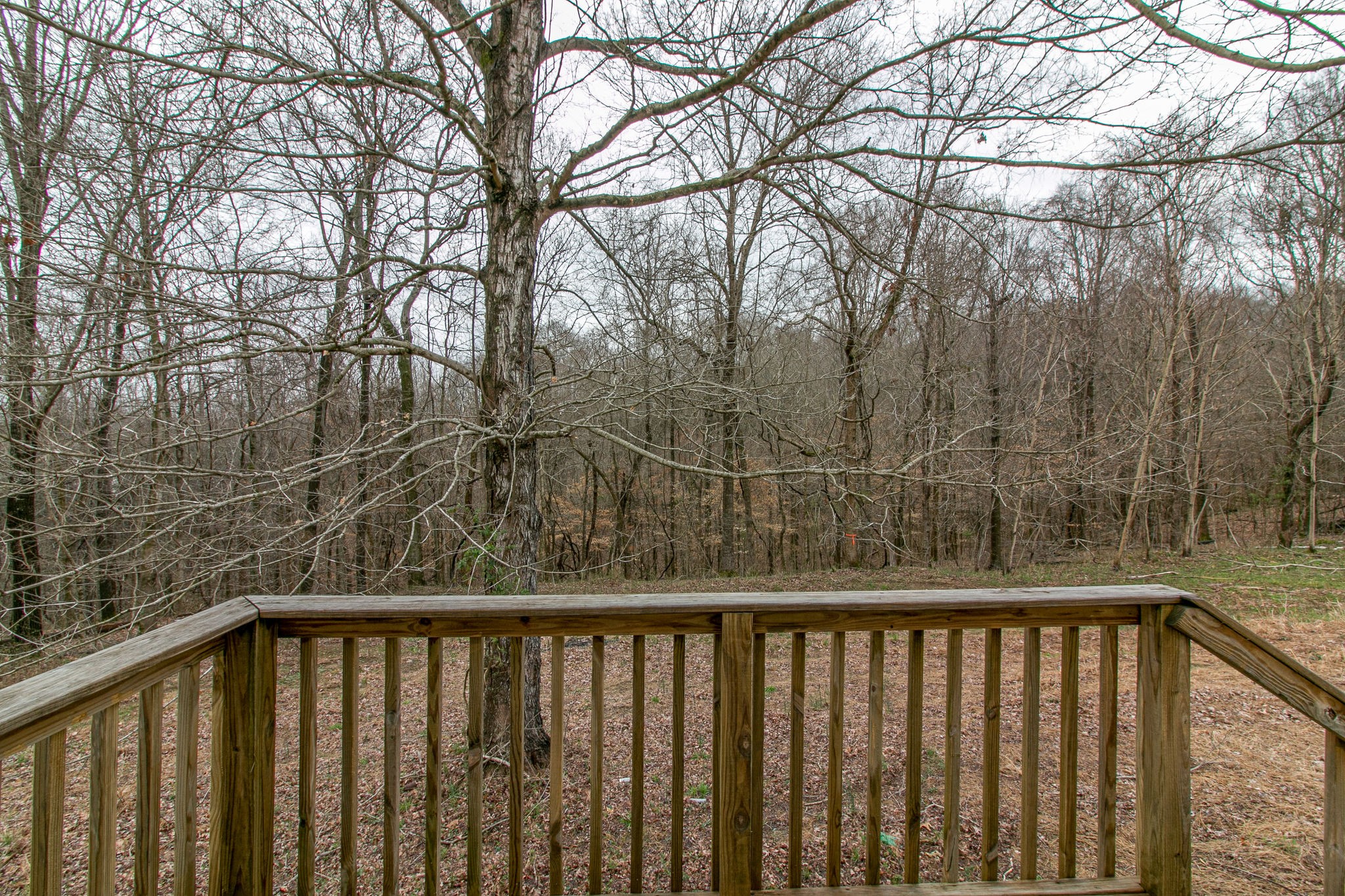 4035 Stone Road Palmyra, TN 37142 - Photo 25 of 28 Gallery Image 25