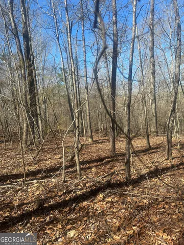 $800,000 | 0 Summit View Road, Jackson, GA 30233