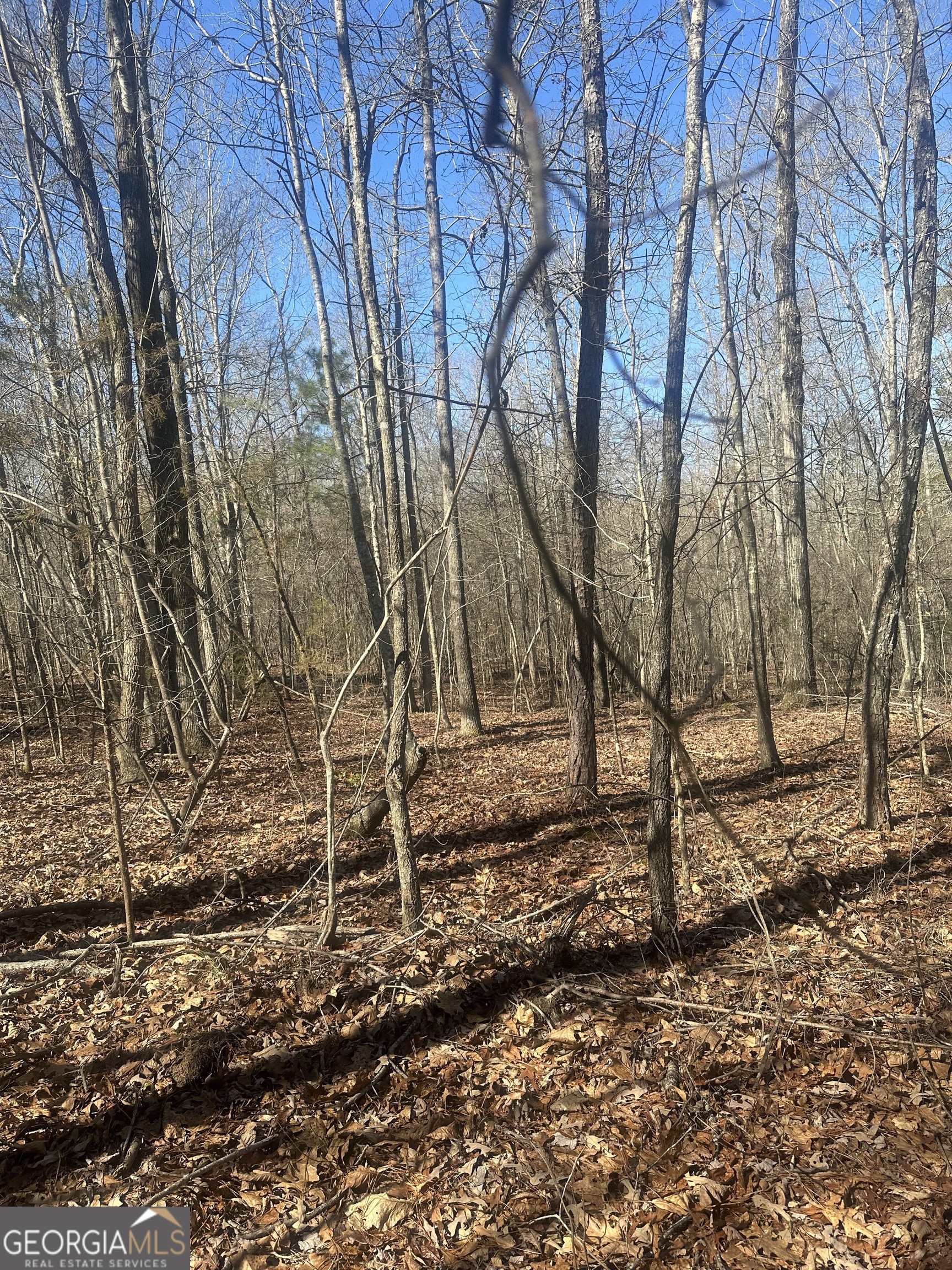 0 Summit View Road Jackson, GA 30233 - Photo 3 of 8