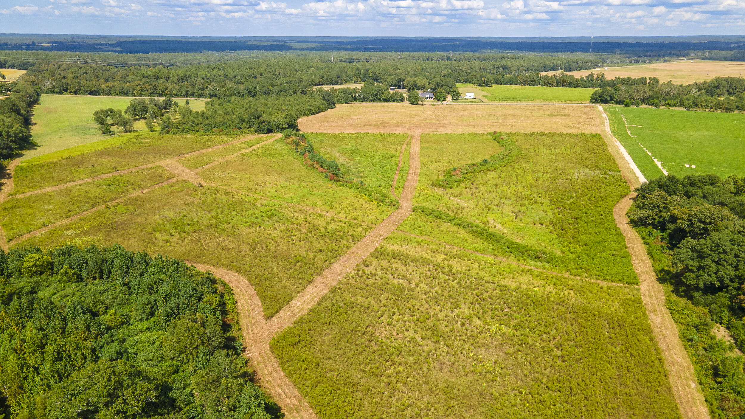 Lot 4 Union Academy Road Salley, SC 29137 - Photo 5 of 12