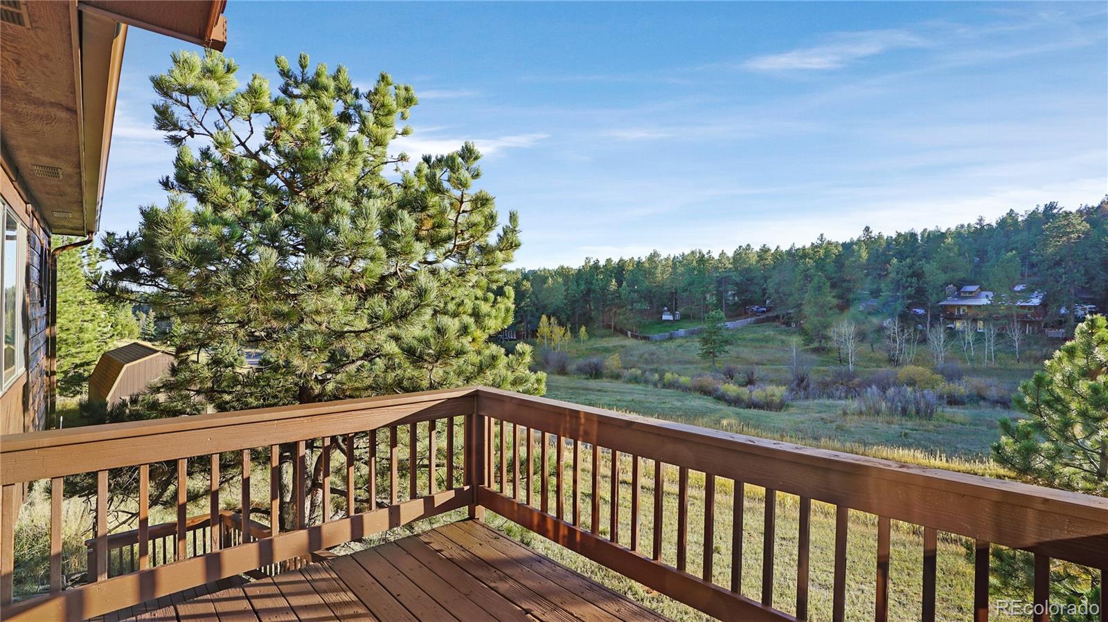 2729 County Road 72 Bailey, CO 80421 - Photo 19 of 27