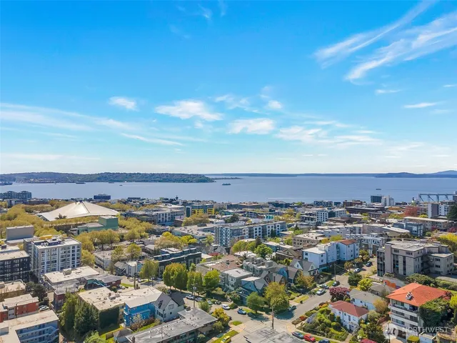 a view of a city with flower plants and large trees